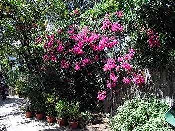 Casale Nunziatina Daire